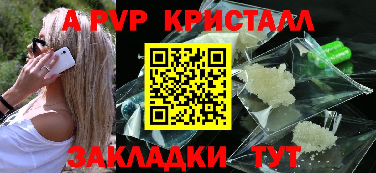 Alfa_PVP СК КРИС Архангельск