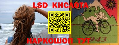 прущие грибы Среднеуральск