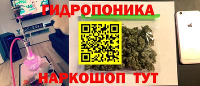 прущие грибы Среднеуральск